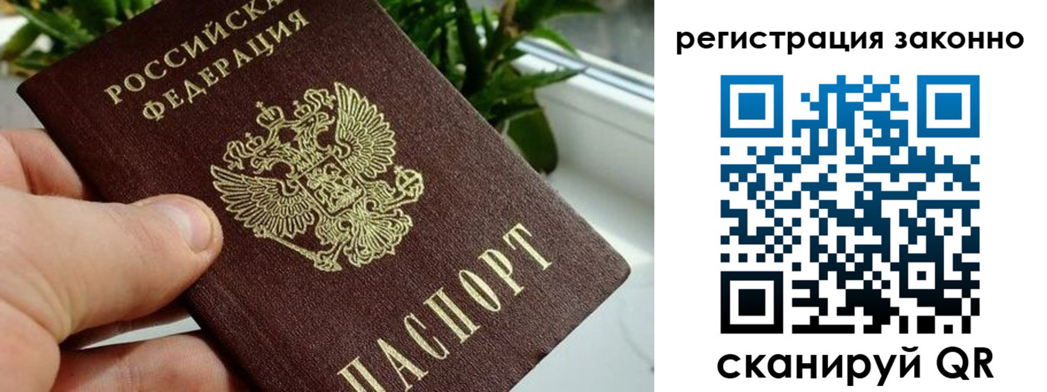 прописка гарантия в Приволжске
